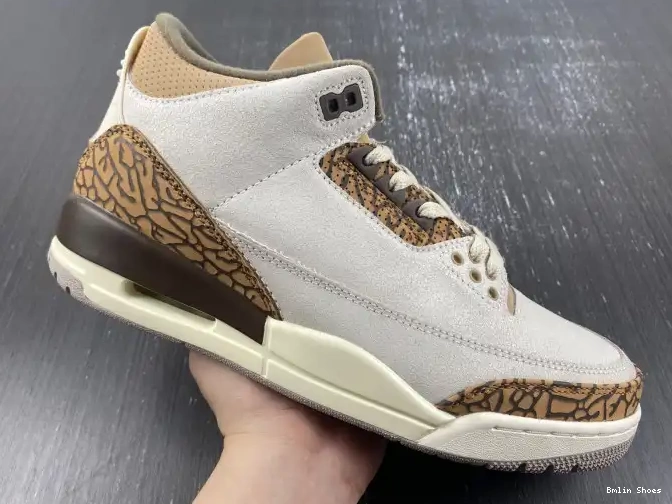 Bmlin Shoes CT8532-102 Palomino Jordan Air 3 0615